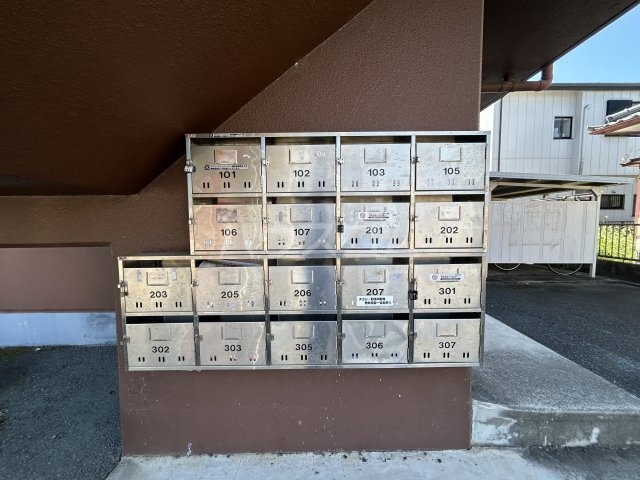 2/11 その他画像