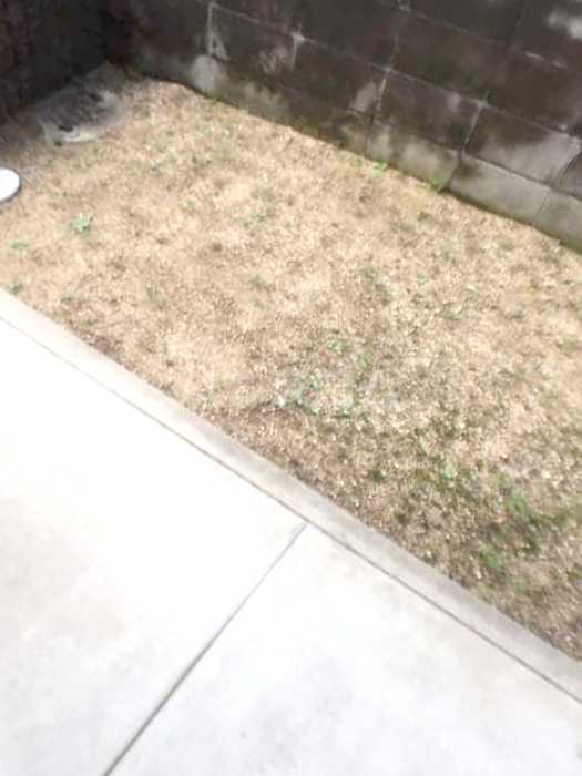 12/16 バルコニー