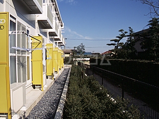 16/19 その他画像