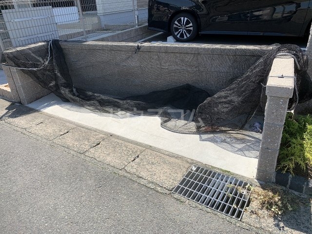 11/25 その他画像