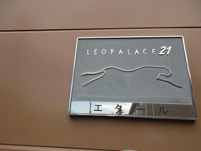 12/13 その他画像