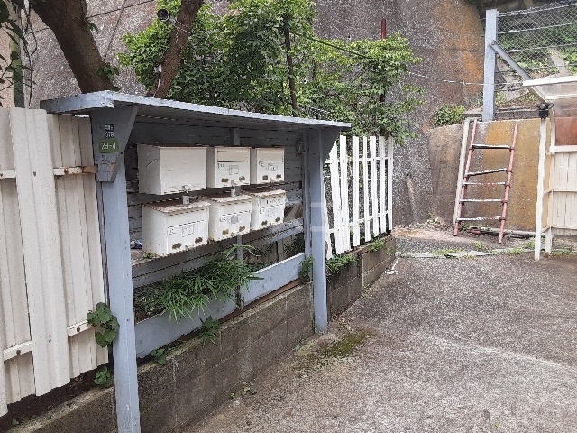 20/27 その他画像