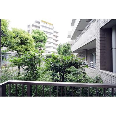 15/30 その他画像