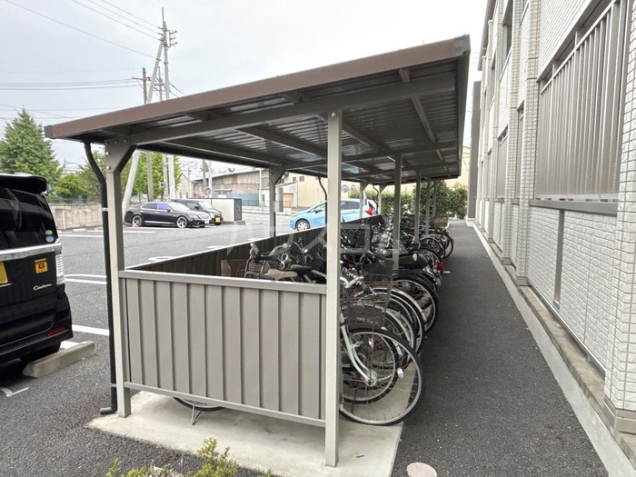 20/30 その他画像