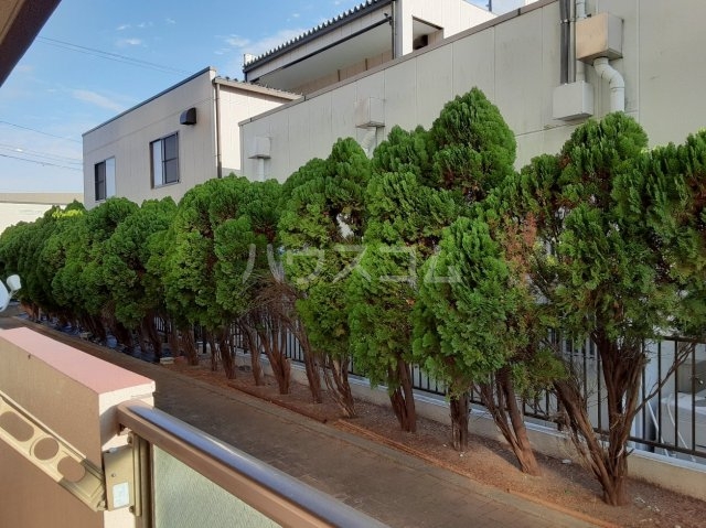 26/30 その他画像