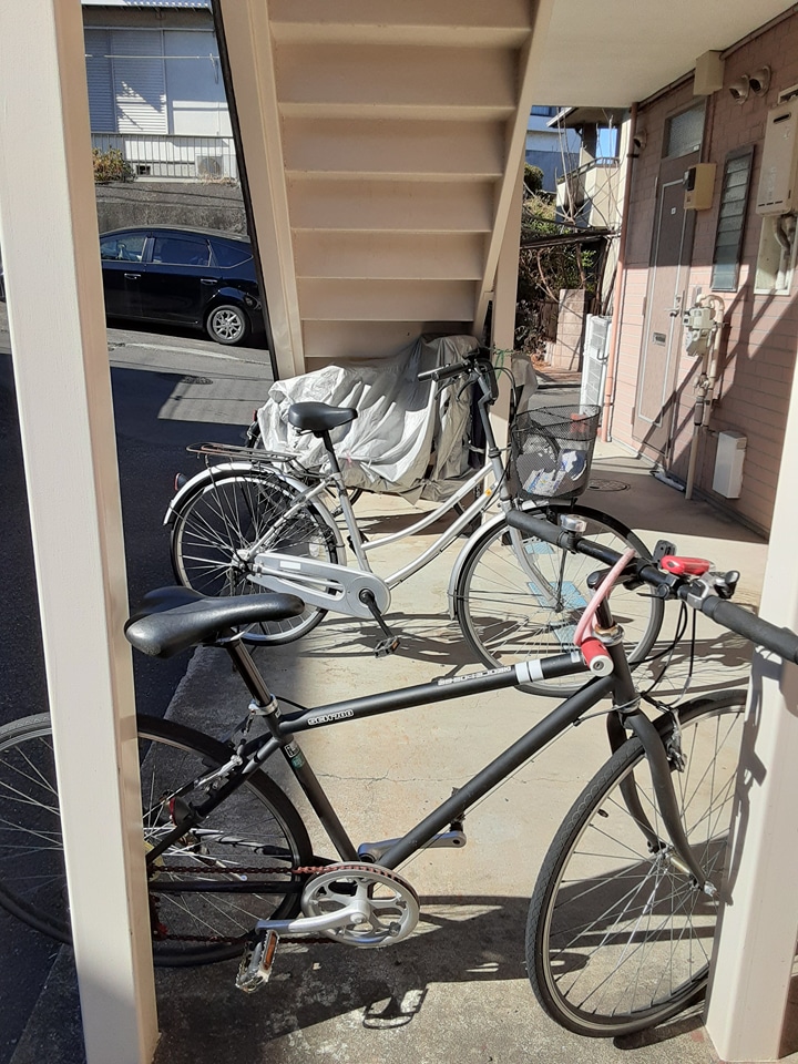 20/30 その他画像