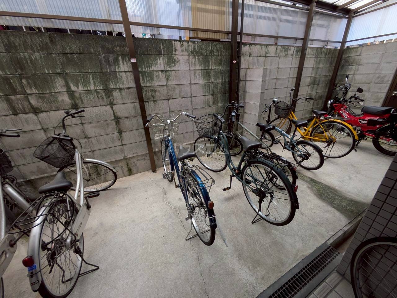 17/24 その他画像