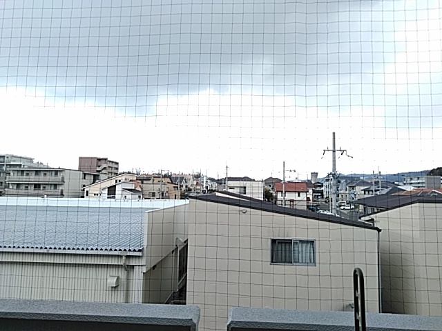 15/30 その他画像