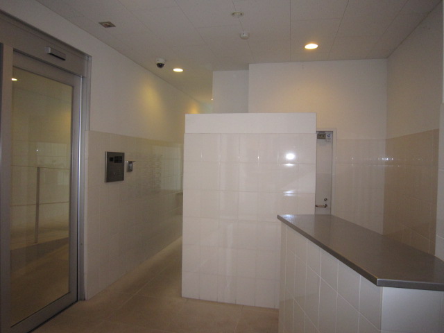 14/28 その他画像