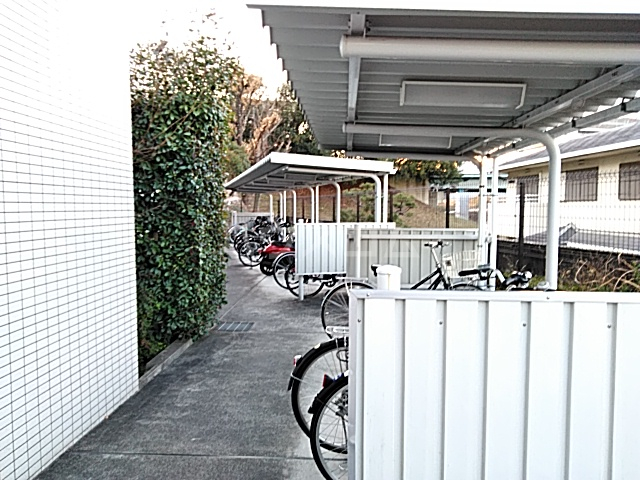 20/30 その他画像