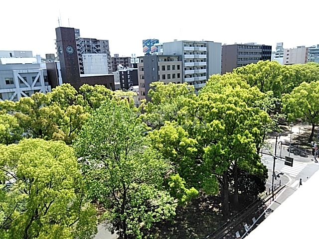 17/29 その他画像