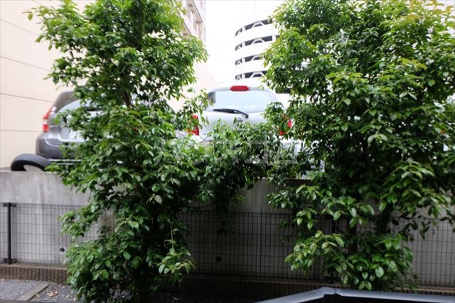 20/27 その他画像