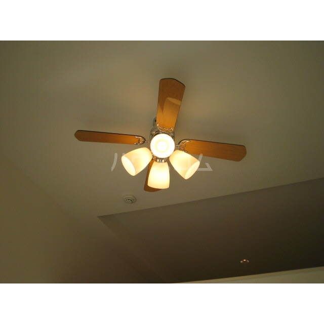 14/22 その他画像