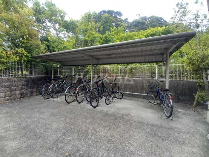 15/19 その他画像