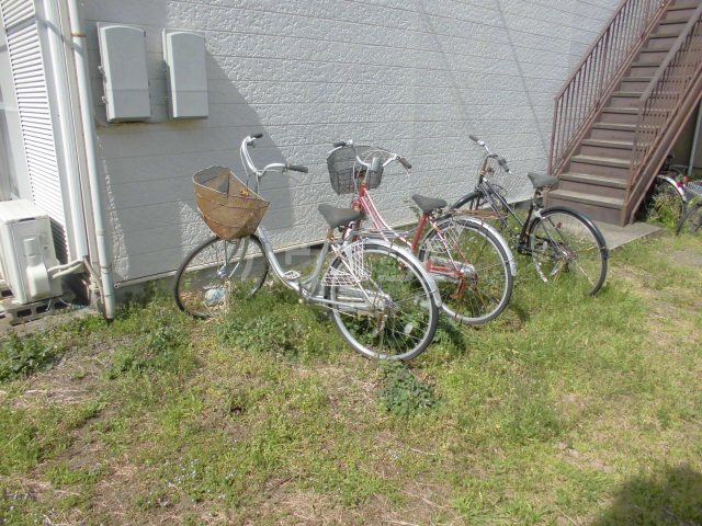 20/30 その他画像