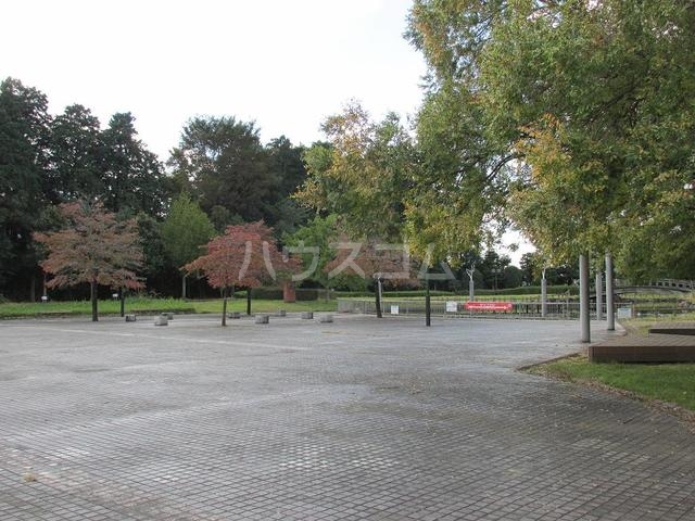 21/30 その他画像