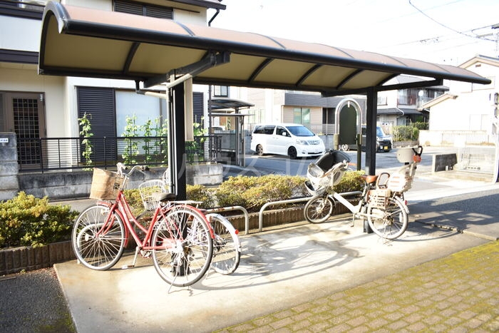 20/30 その他画像