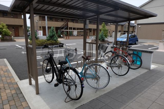 19/29 その他画像