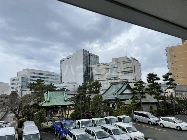 20/30 その他画像