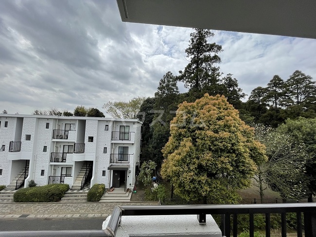 28/30 その他画像