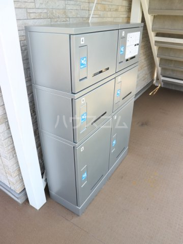 20/30 その他画像