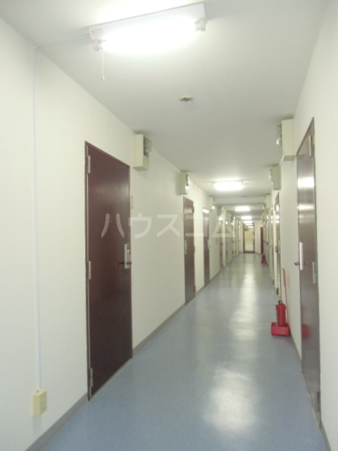 19/26 その他画像