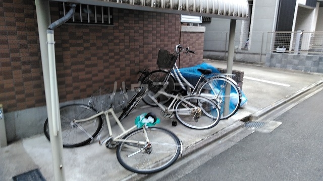 20/30 その他画像