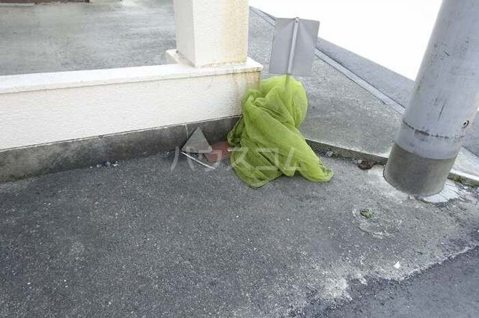 16/21 その他画像