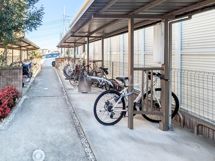 11/17 その他画像