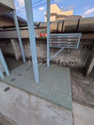 20/30 その他画像