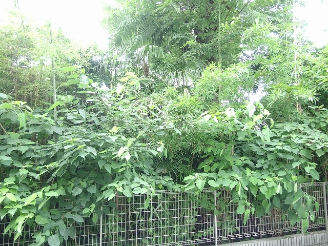 12/26 その他画像