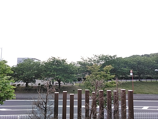 25/30 その他画像