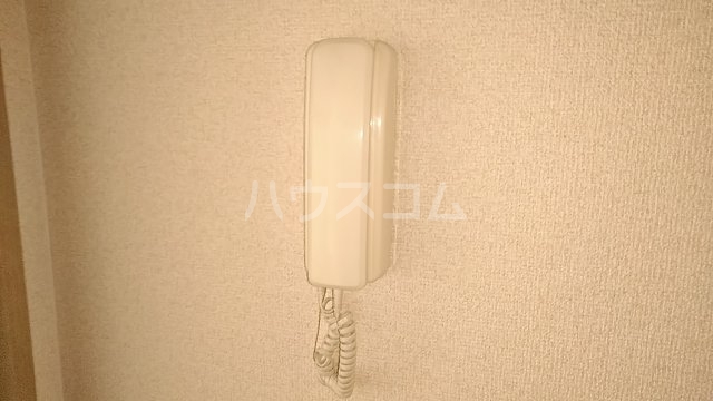 25/29 その他画像