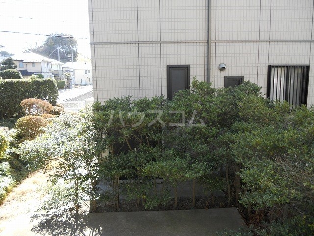 17/29 その他画像