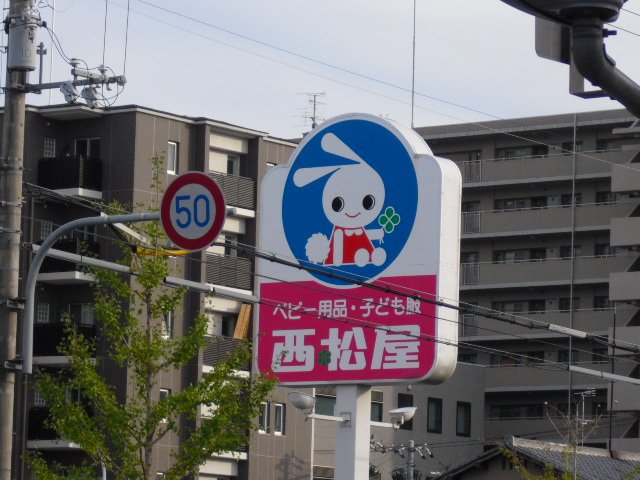 25/30 周辺