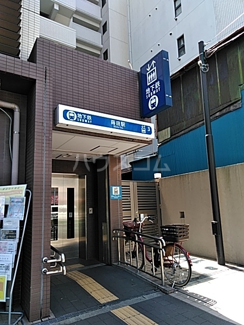 5/11 周辺