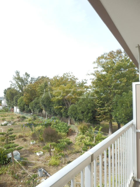 15/30 その他画像