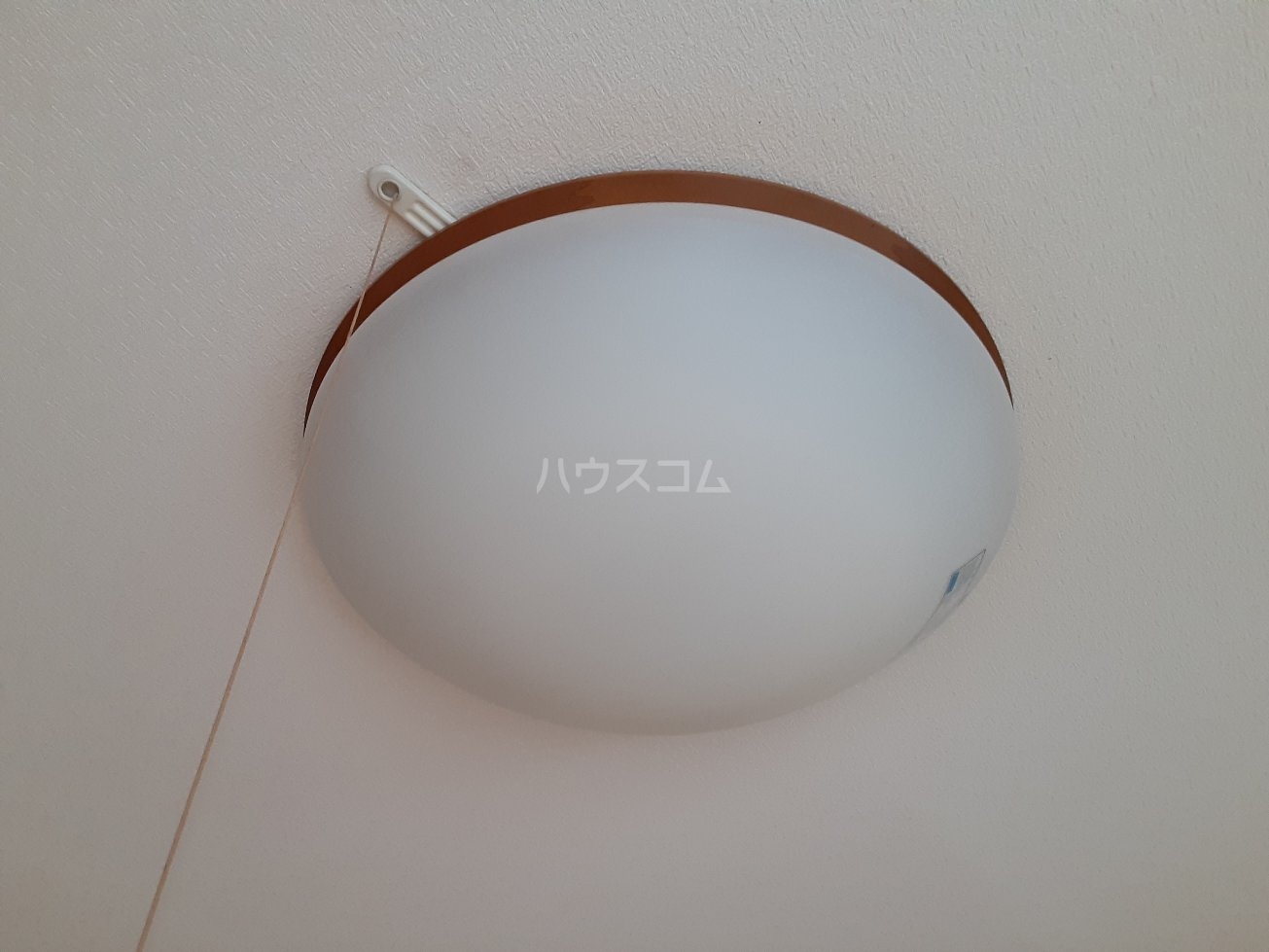 16/22 その他画像