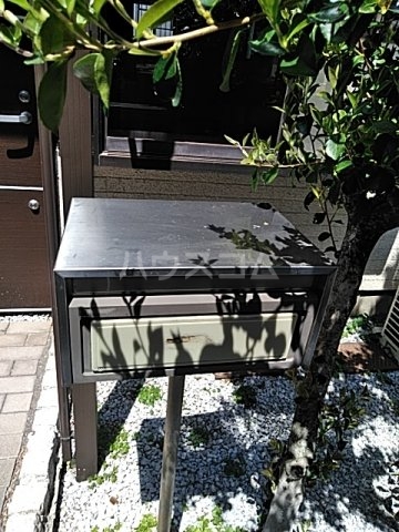 15/25 その他画像