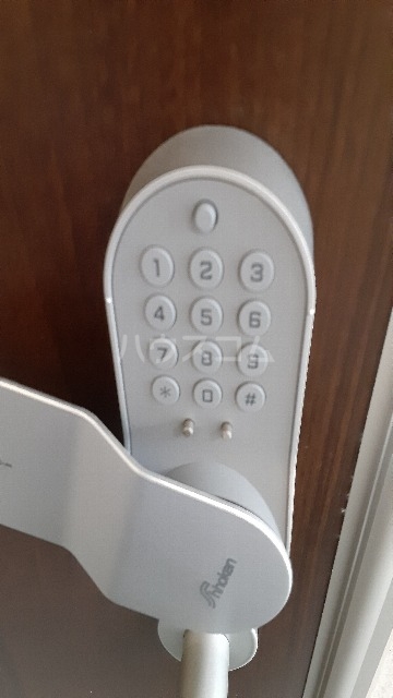 19/29 その他画像