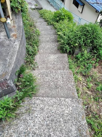 17/28 その他画像