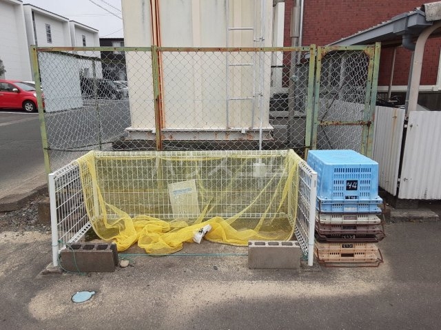 27/30 その他画像