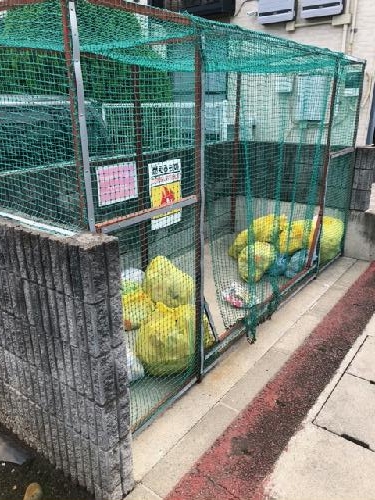 11/14 その他画像