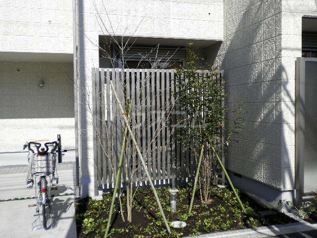 13/23 その他画像