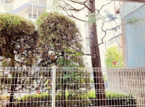 26/30 その他画像