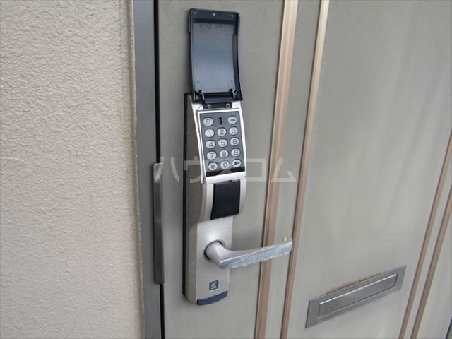 15/24 その他画像