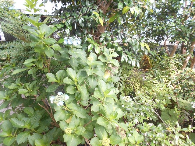 11/20 その他画像