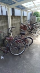 15/22 その他画像