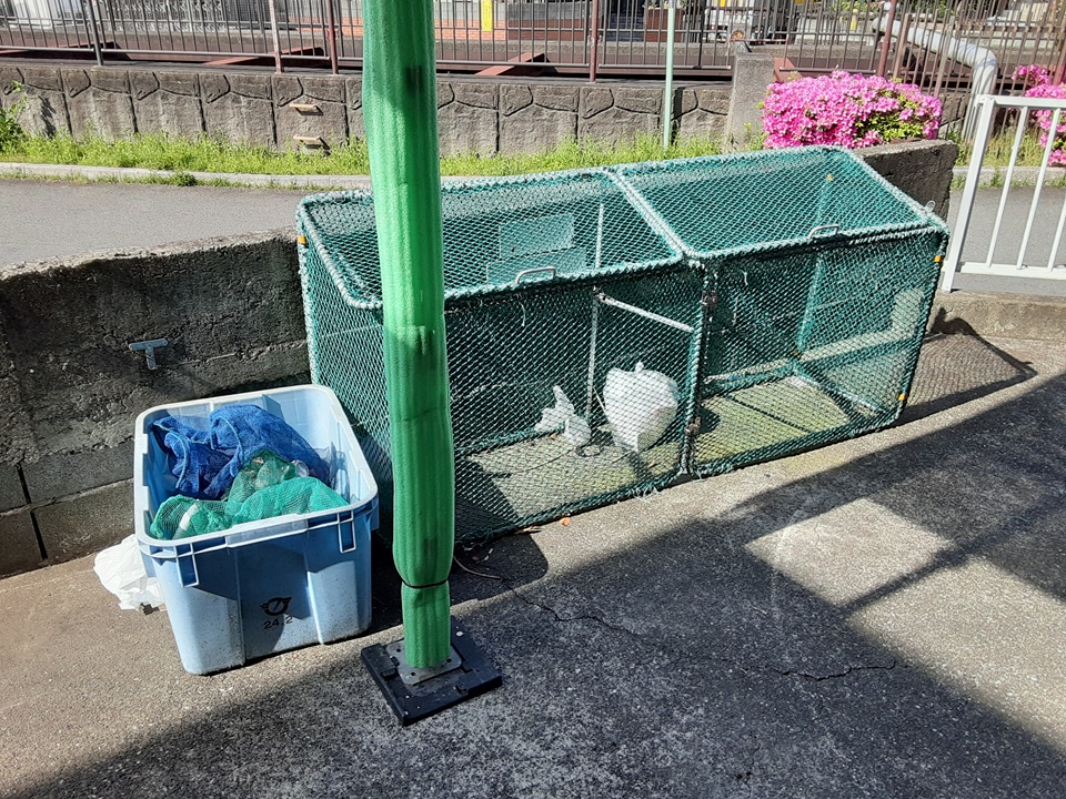 22/30 その他画像