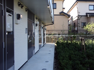 11/20 その他画像